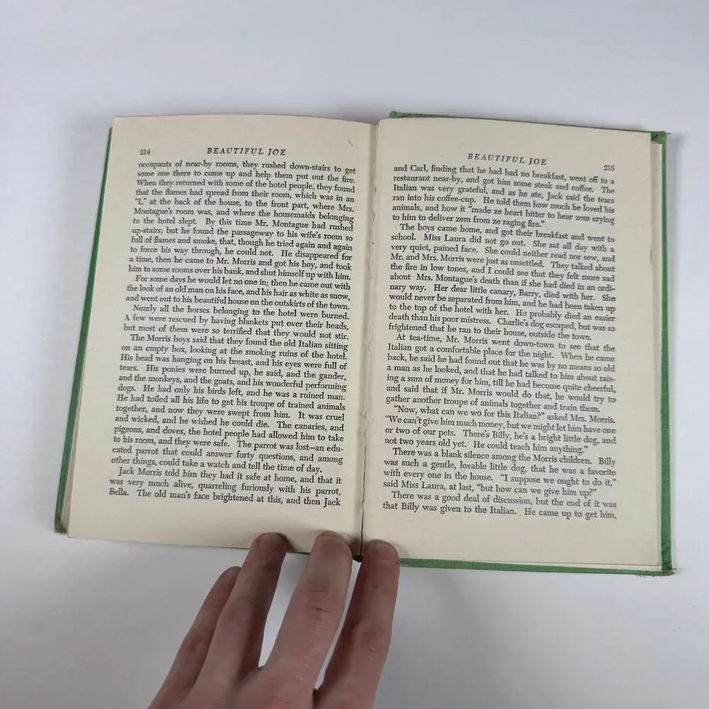 Beautiful Joe by Marshall Saunders 1920 Antique book